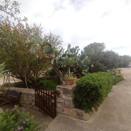 Casa Rural Es Cap De Barbaria San Francisco Javier Kültér fotó