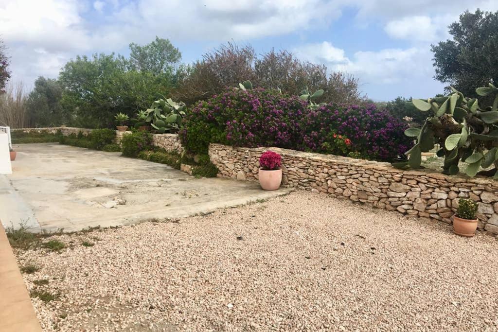 Casa Rural Es Cap De Barbaria San Francisco Javier Kültér fotó