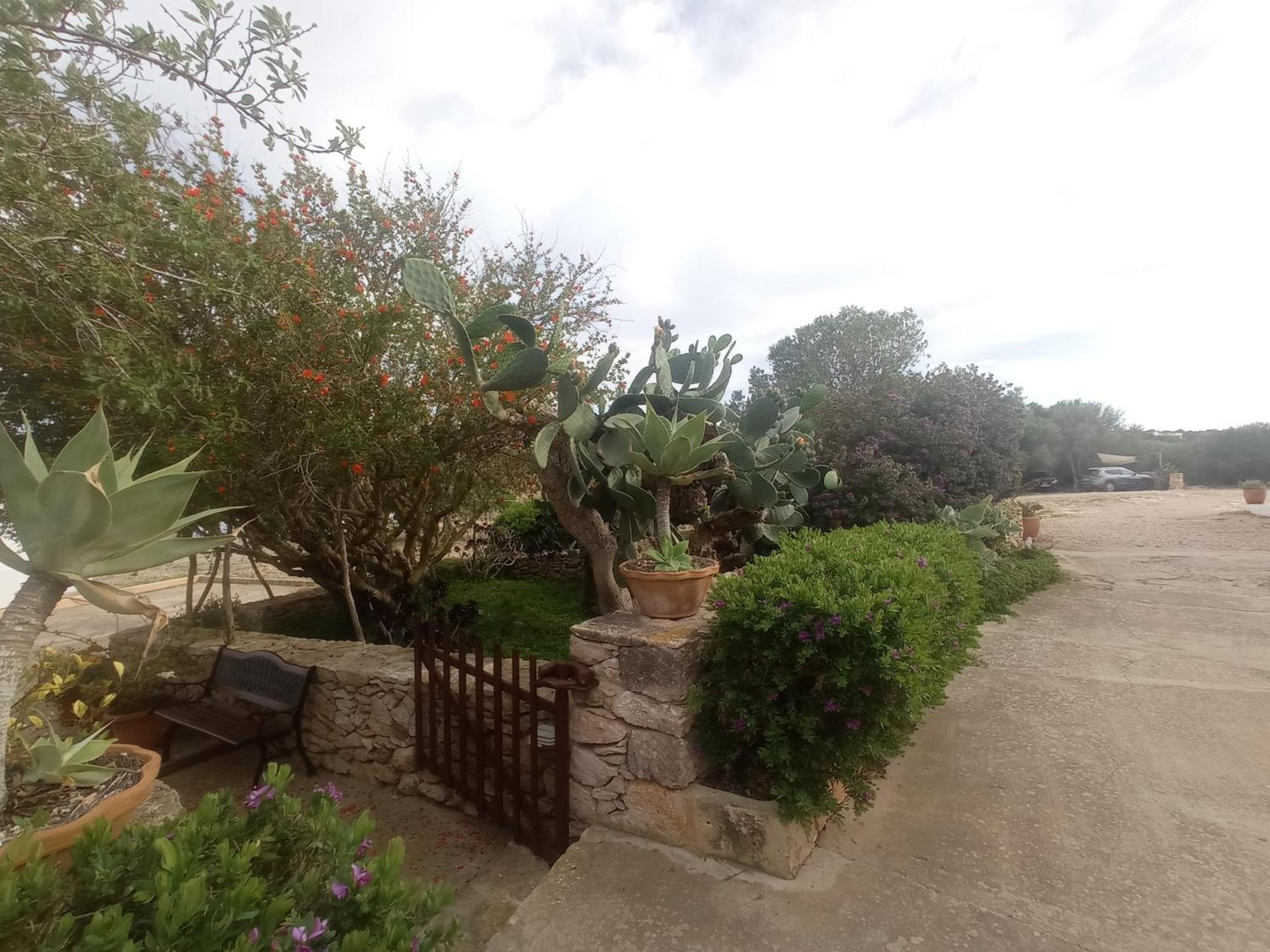Casa Rural Es Cap De Barbaria San Francisco Javier Kültér fotó